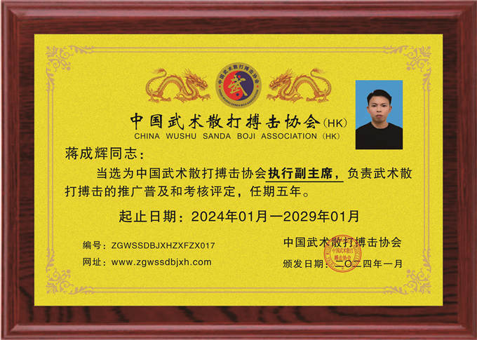 蔣成輝：執行副主席